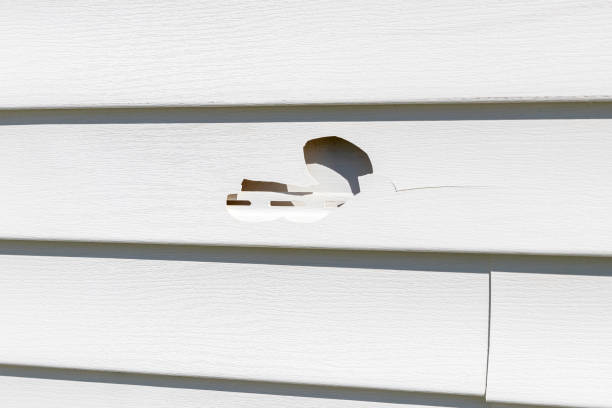 How To Choose The Right Materials for Your Siding Installation in 'Sargent, TX